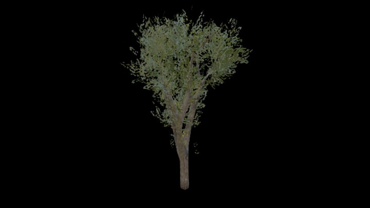 UE项目资源_模型资源_树342