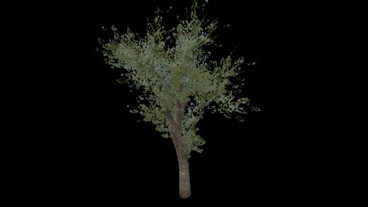 UE项目资源_模型资源_树343