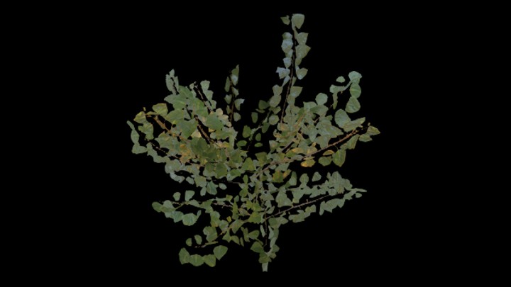 UE项目资源_模型资源_树344