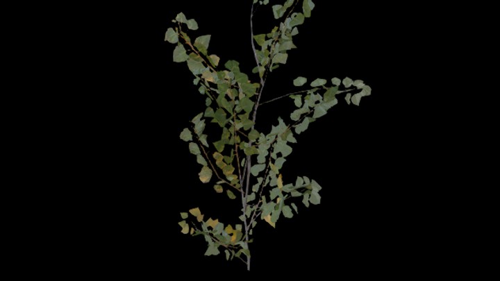 UE项目资源_模型资源_树345