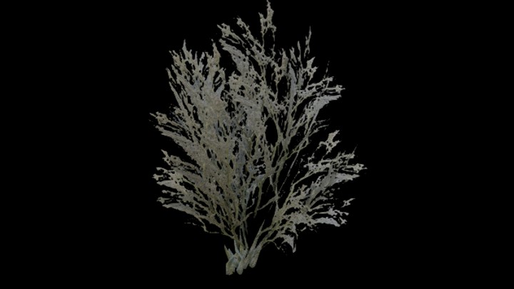 UE项目资源_模型资源_树347