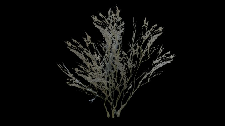 UE项目资源_模型资源_树349