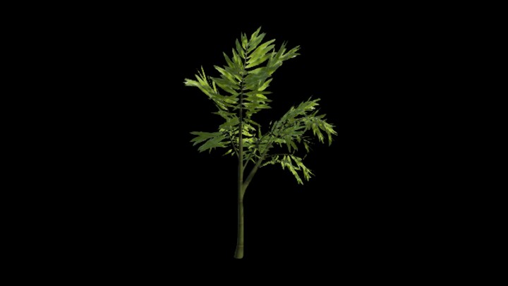 UE项目资源_模型资源_树365