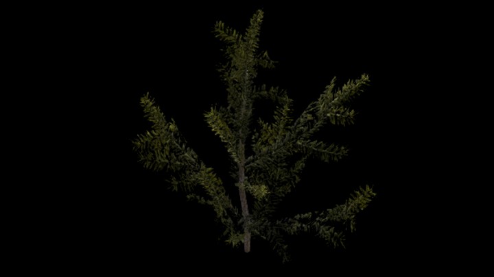 UE项目资源_模型资源_树374