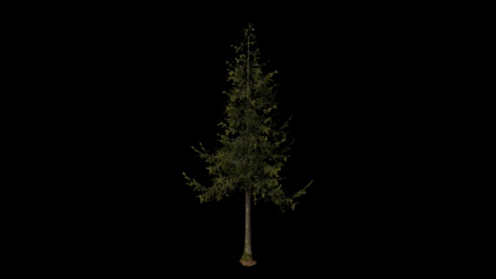 UE项目资源_模型资源_树384