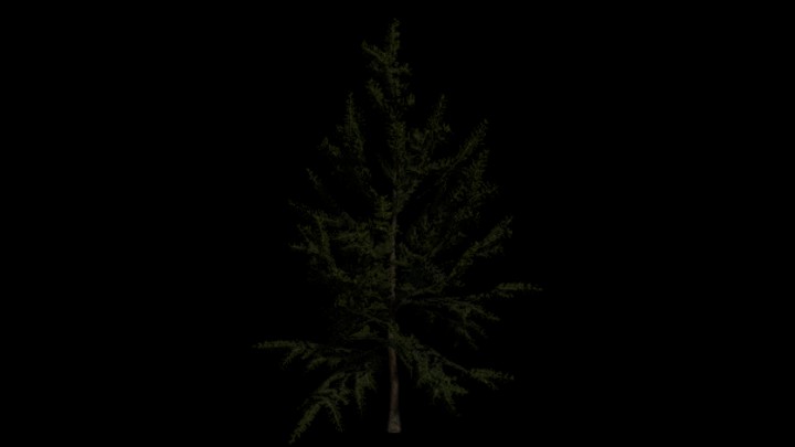 UE项目资源_模型资源_树386