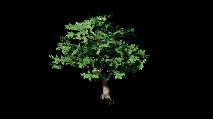 UE项目资源_模型资源_树401