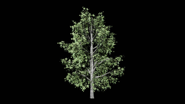 UE项目资源_模型资源_树406