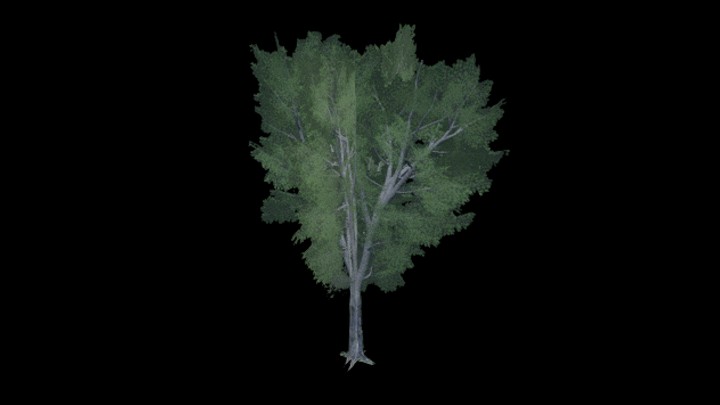 UE项目资源_模型资源_树442