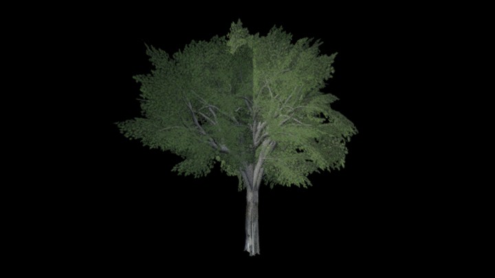 UE项目资源_模型资源_树443