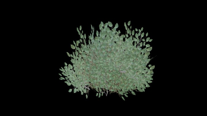 UE项目资源_模型资源_树447