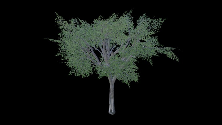 UE项目资源_模型资源_树450