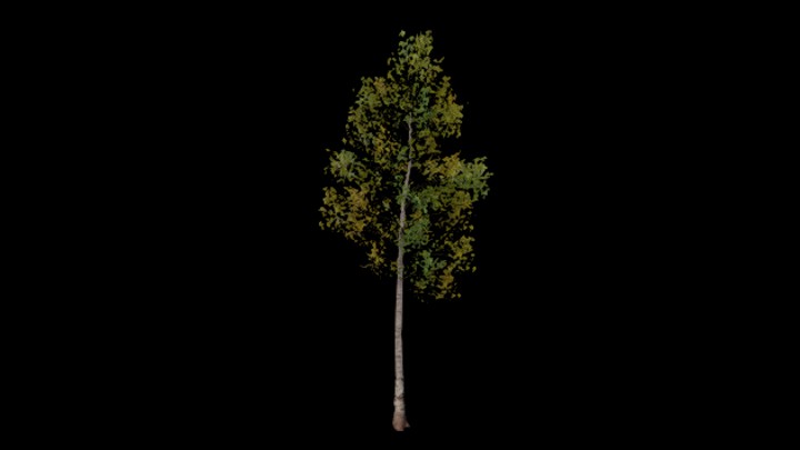 UE项目资源_模型资源_树455