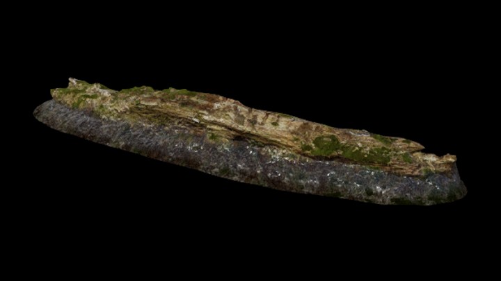 UE项目资源_模型资源_树枝050