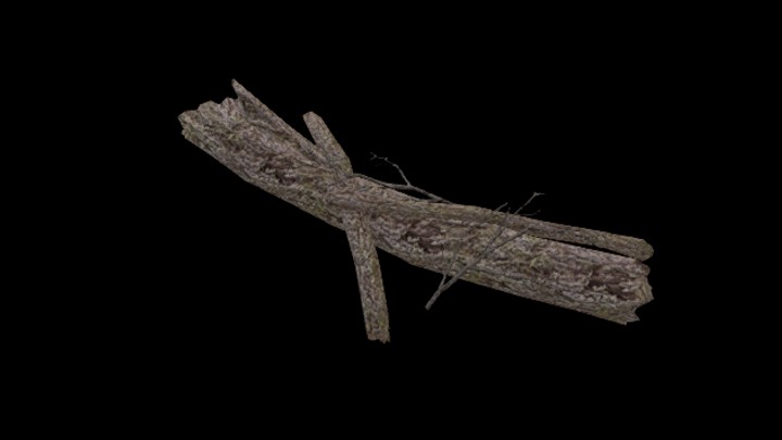 UE项目资源_模型资源_树枝064