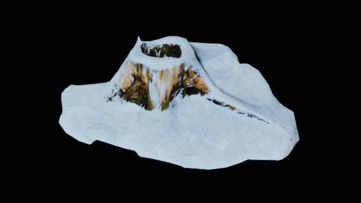 UE项目资源_模型资源_树桩049