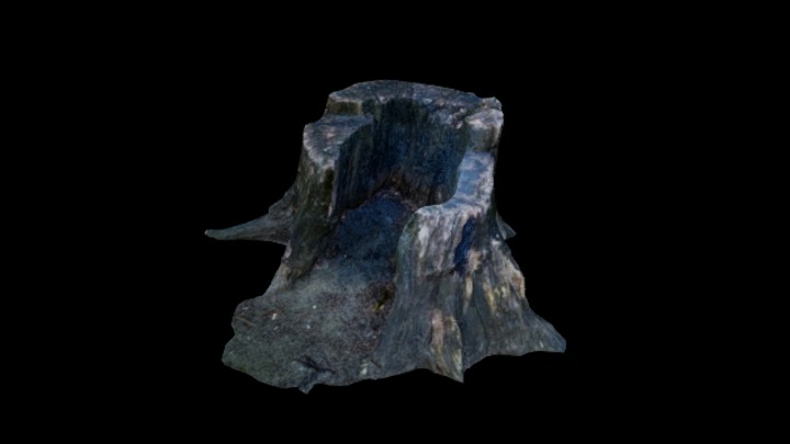 UE项目资源_模型资源_树桩050