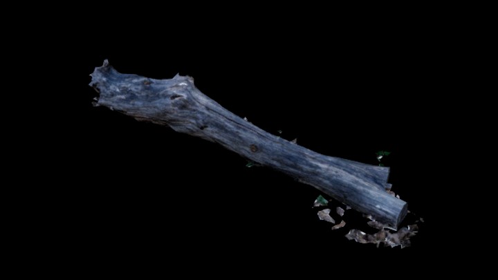 UE项目资源_模型资源_树桩053