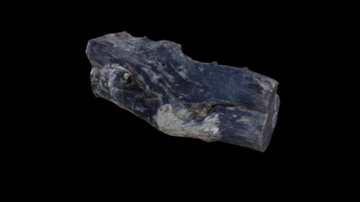 UE项目资源_模型资源_树桩055