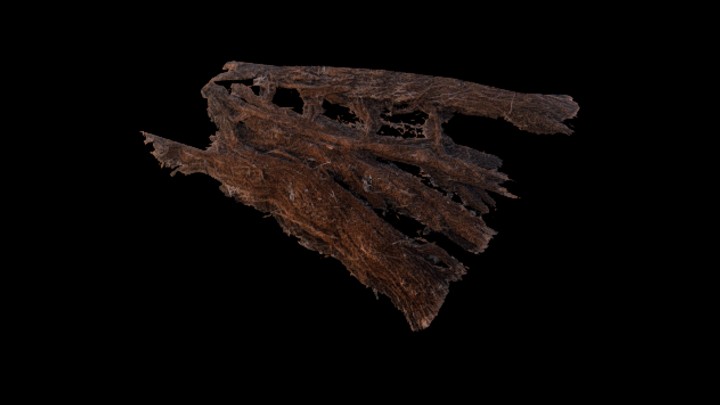 UE项目资源_模型资源_树皮007