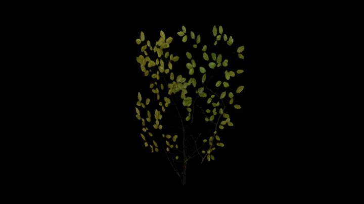 UE项目资源_模型资源_树苗022