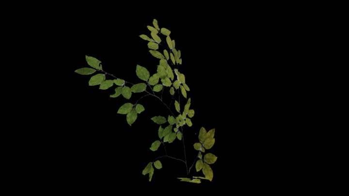 UE项目资源_模型资源_树苗027