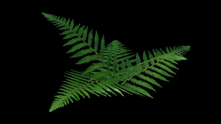 UE项目资源_模型资源_植物0001