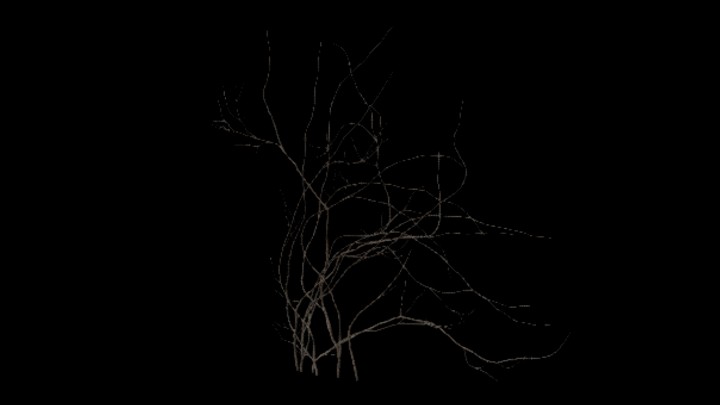 UE项目资源_模型资源_植物419