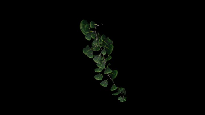 UE项目资源_模型资源_植物424