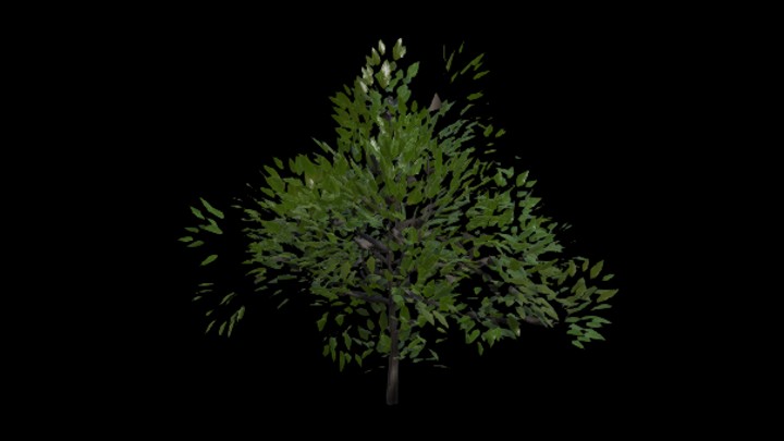 UE项目资源_模型资源_植物451