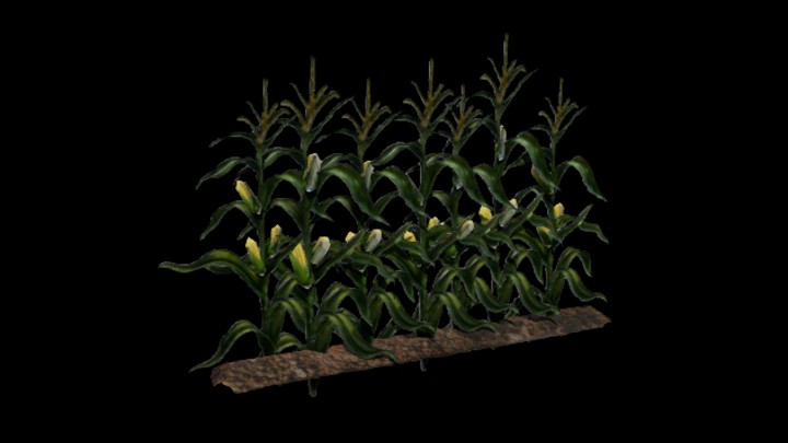 UE项目资源_模型资源_植物469