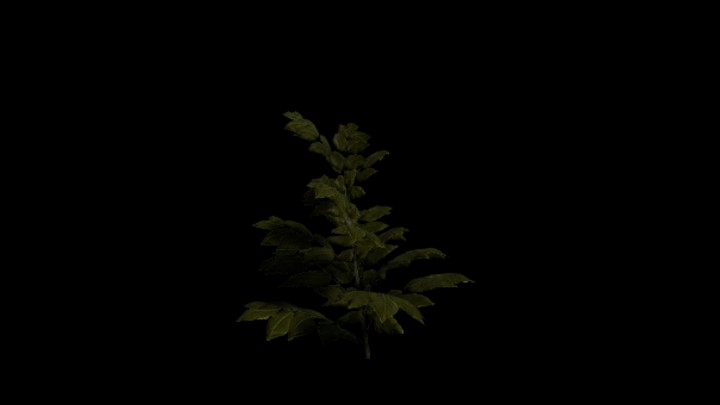 UE项目资源_模型资源_植物561