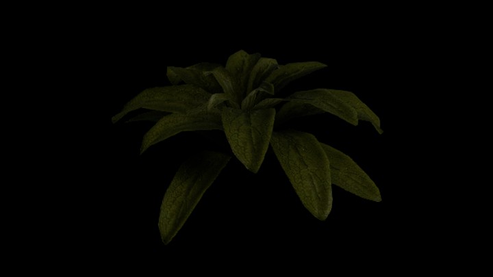 UE项目资源_模型资源_植物568