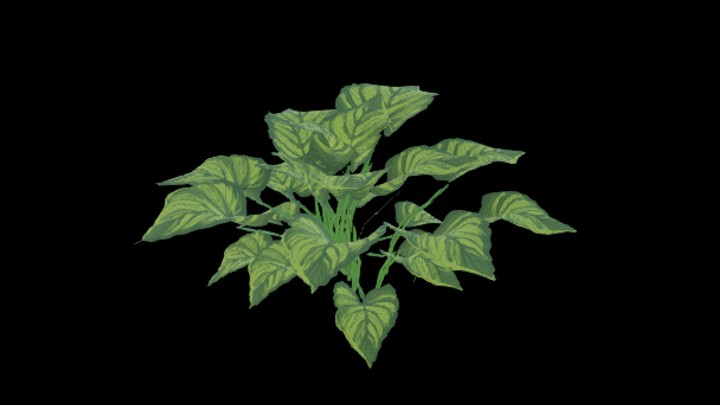 UE项目资源_模型资源_植物597