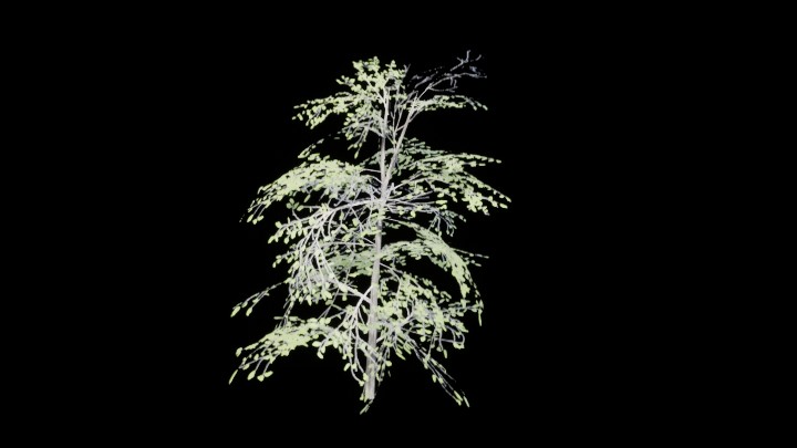 UE项目资源_模型资源_植物605