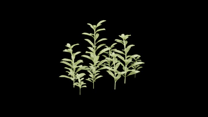 UE项目资源_模型资源_植物619