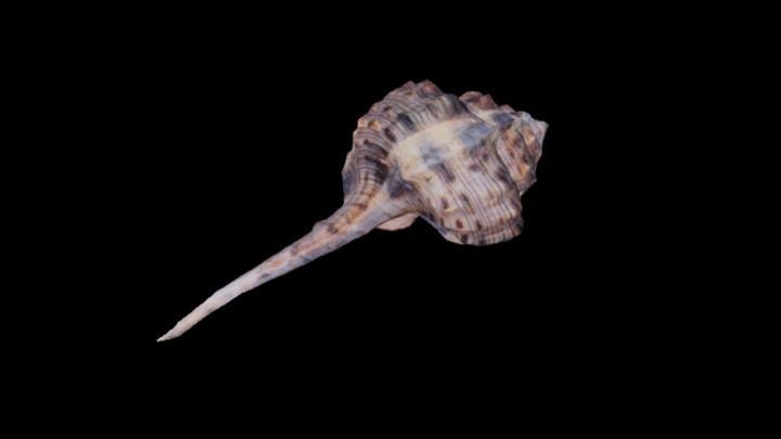 UE项目资源_模型资源_海螺005