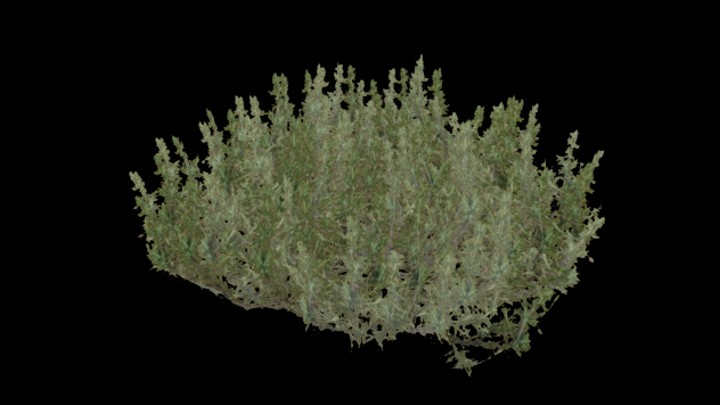 UE项目资源_模型资源_灌木030