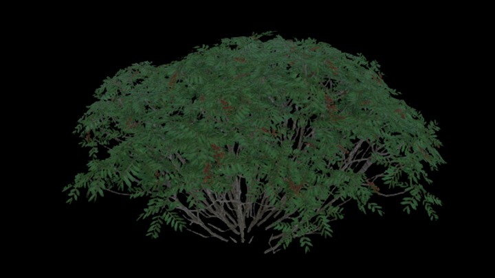 UE项目资源_模型资源_灌木032