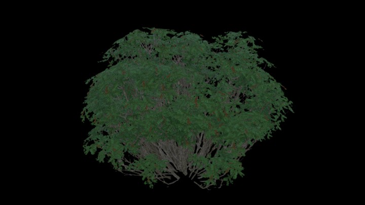 UE项目资源_模型资源_灌木033