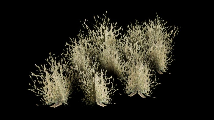 UE项目资源_模型资源_灌木038