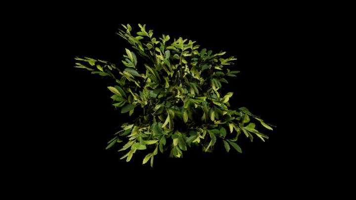 UE项目资源_模型资源_灌木042