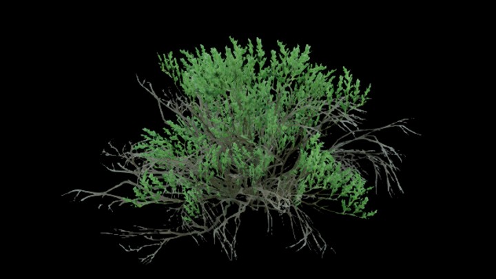 UE项目资源_模型资源_灌木049