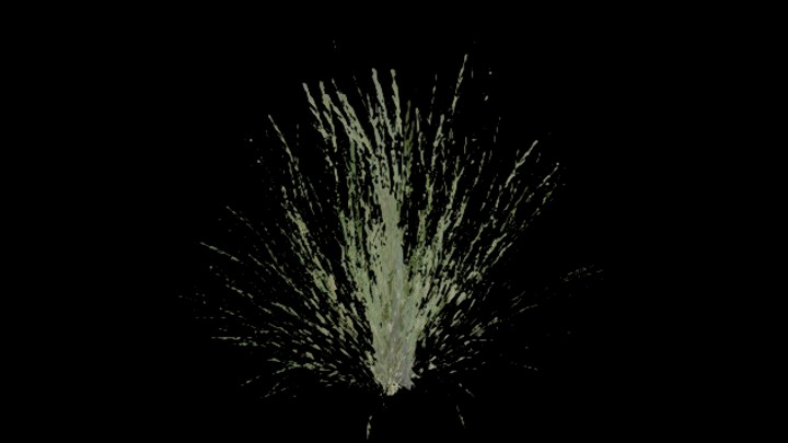 UE项目资源_模型资源_灌木草001