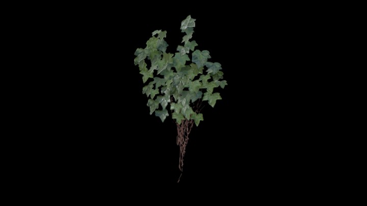 UE项目资源_模型资源_爬藤008