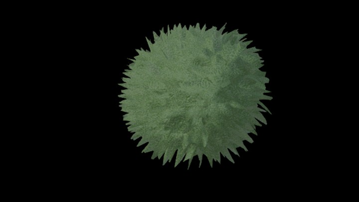 UE项目资源_模型资源_珊瑚052