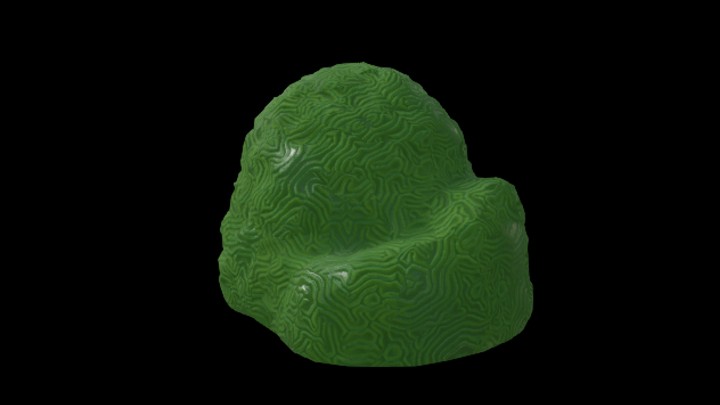 UE项目资源_模型资源_珊瑚054