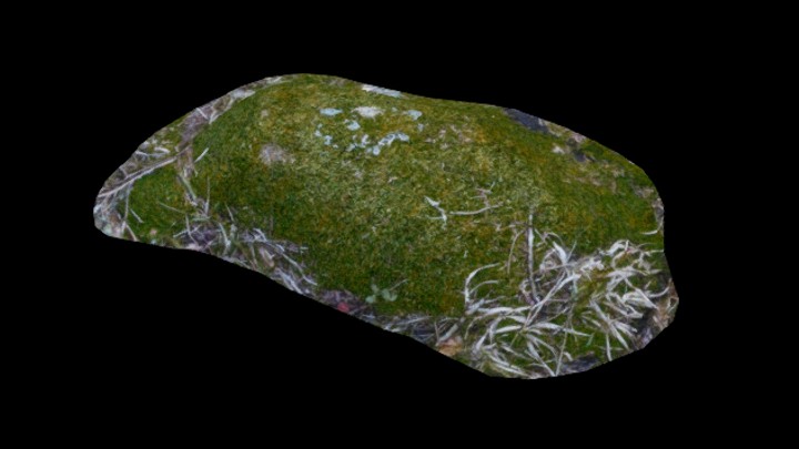 UE项目资源_模型资源_石头534