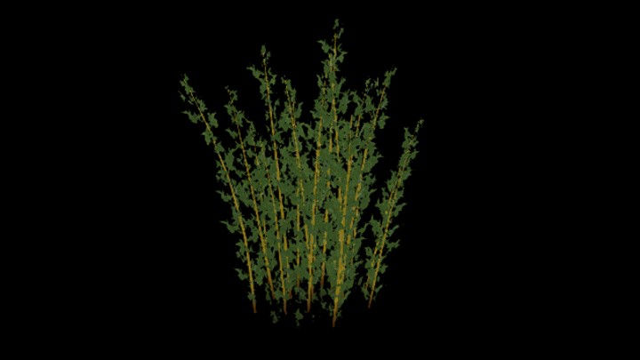 UE项目资源_模型资源_竹子017