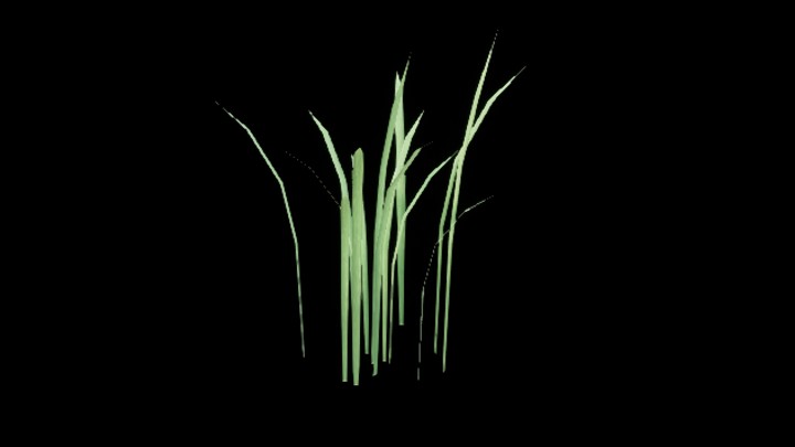 UE项目资源_模型资源_草436